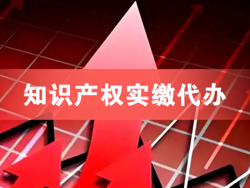 桂平知识产权实缴资本代办